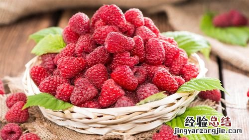 刺苹果可不可以吃