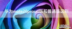 华为mate20proud版和普通版区别