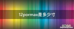 12pormax是多少寸