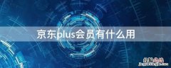 京东plus会员有什么用