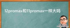 12promax和11promax一样大吗