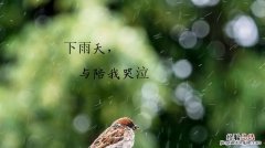 下雨天的心情经典句子