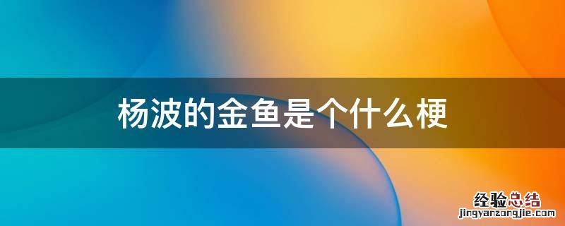 杨波的金鱼是个什么梗