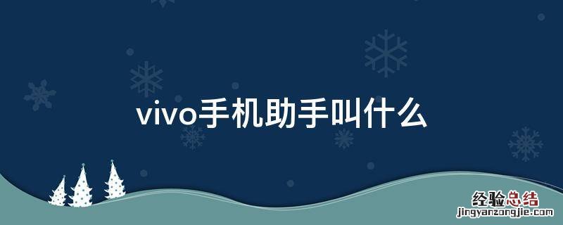 vivo手机助手叫什么