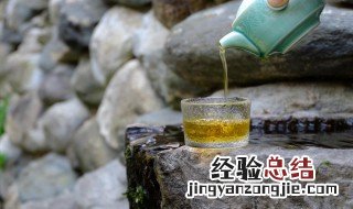 辣木茶是什么味道 辣木茶是什么茶?