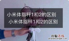 小米体脂秤1和2的区别 小米体脂秤1和2的区别是什么