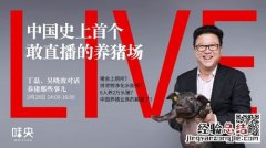 网易养猪场是什么梗