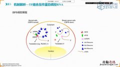 举例说明酶的竞争性抑制作用