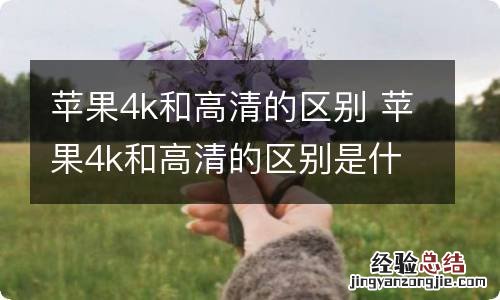 苹果4k和高清的区别 苹果4k和高清的区别是什么