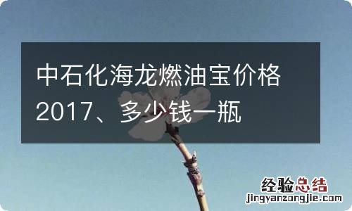 中石化海龙燃油宝价格2017、多少钱一瓶