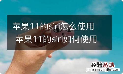 苹果11的siri怎么使用 苹果11的siri如何使用