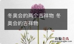 冬奥会的两个吉祥物 冬奥会的吉祥物