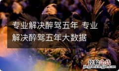 专业解决醉驾五年 专业解决醉驾五年大数据