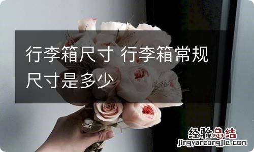 行李箱尺寸 行李箱常规尺寸是多少