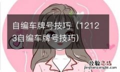 12123自编车牌号技巧 自编车牌号技巧