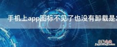 手机上app图标不见了也没有卸载是怎么回事