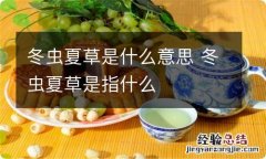 冬虫夏草是什么意思 冬虫夏草是指什么