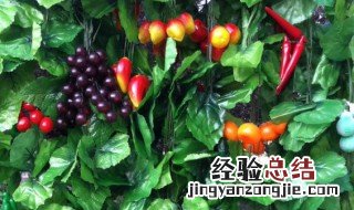 藤蔓植物的水果有哪些 藤蔓植物的水果介绍