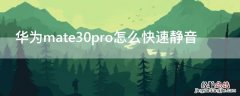 华为mate30pro怎么一键静音 华为mate30pro怎么快速静音