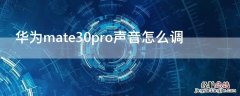 华为mate30pro声音怎么调节 华为mate30pro声音怎么调