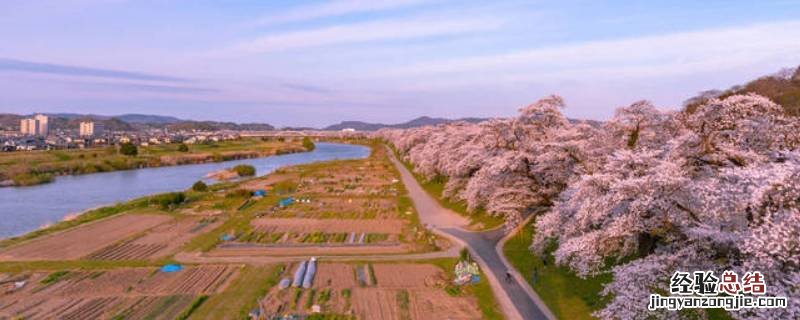 日本盐釜市离仙台远吗