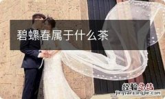 碧螺春属于什么茶