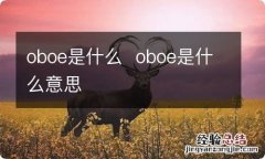 oboe是什么oboe是什么意思