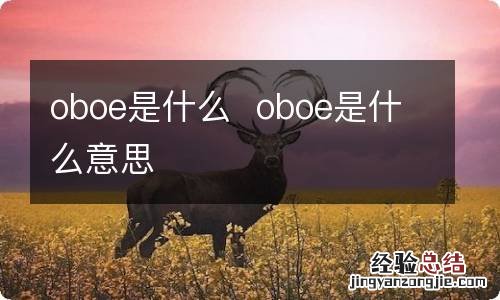 oboe是什么oboe是什么意思