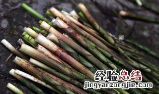 毛竹笋怎么处理涩味 毛竹笋怎么才能去掉苦涩味