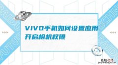 vivo权限管理在哪里找