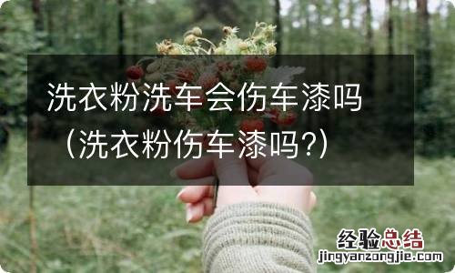 洗衣粉伤车漆吗? 洗衣粉洗车会伤车漆吗