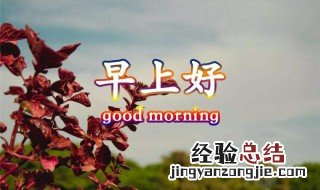 简短的早安语 简短早安问候语