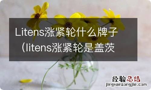 litens涨紧轮是盖茨吗 Litens涨紧轮什么牌子