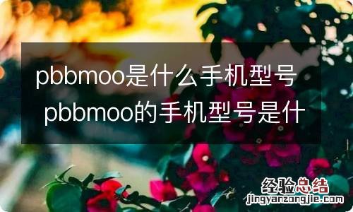 pbbmoo是什么手机型号 pbbmoo的手机型号是什么