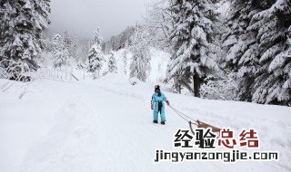 融雪剂是什么意思 融雪剂是啥