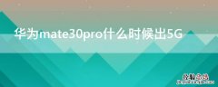 华为mate30pro什么时候出5G