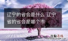 辽宁的省会是什么 辽宁省的省会是哪个市