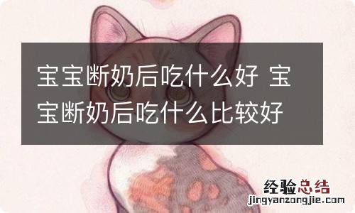 宝宝断奶后吃什么好 宝宝断奶后吃什么比较好