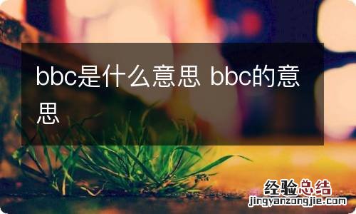 bbc是什么意思 bbc的意思