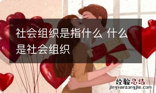 社会组织是指什么 什么是社会组织