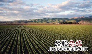 底肥用什么肥料好 什么肥料可以做基肥