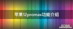 苹果12promax功能介绍