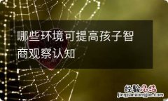 哪些环境可提高孩子智商观察认知