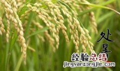 处暑前面是什么节气 处暑上面的节气是什么