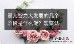 婴儿智力大发展的几个阶段是什么呢？观察认知