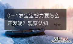 0－1岁宝宝智力要怎么开发呢？观察认知