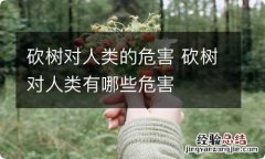 砍树对人类的危害 砍树对人类有哪些危害