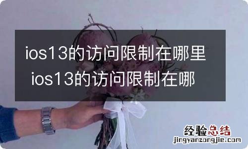ios13的访问限制在哪里 ios13的访问限制在哪里打开