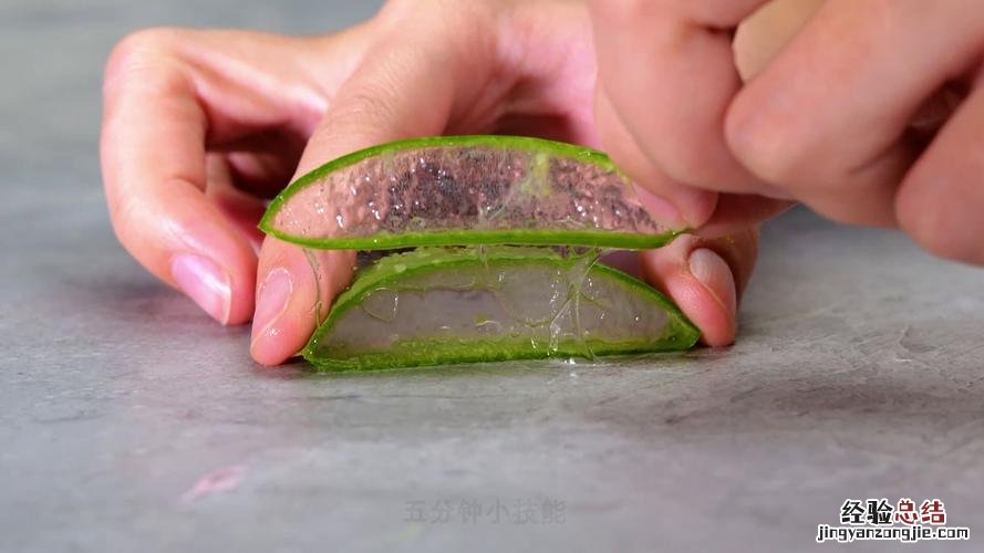 芦荟介绍,芦荟能吃吗