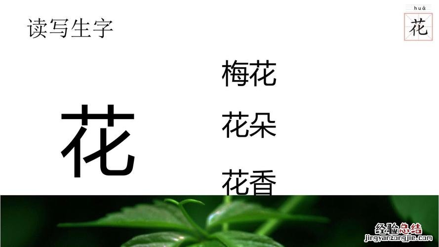 描写花的四字词有哪些